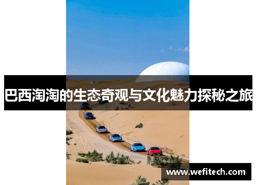 巴西淘淘的生态奇观与文化魅力探秘之旅