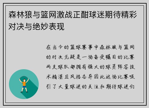 森林狼与篮网激战正酣球迷期待精彩对决与绝妙表现